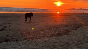 Een strandscène met een paard en een persoon in de verte tijdens zonsondergang.