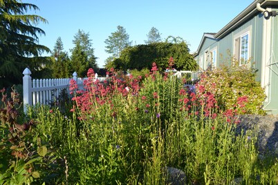 The Garden Room Retreat: Affordable Studio Getaway