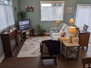 Smart TV, fireplace, books