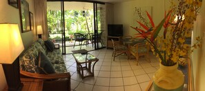 Flat-screen TV, DVD player, books, video library