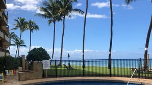 Piscina com borda azulejada, cercada por uma vedação e palmeiras, com vista para o oceano ao fundo.