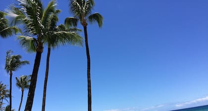 1 BR / 1 BA Ocean Front Lush Garden View Condo - wenige Schritte vom Strand
