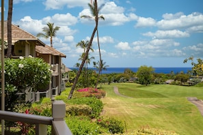 Property grounds - 5 Star Ocean View, Beach House Chic, Click the Video tour below! (Wailea)