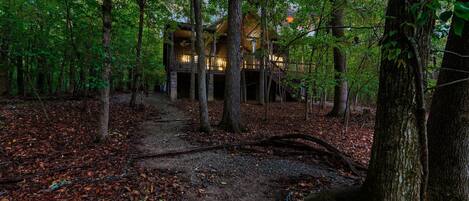 A forested area with a wooden cabin structure.