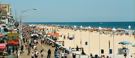 在海滩、沙滩椅