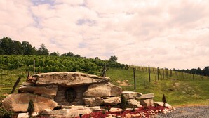 Una estructura de piedra con una puerta, rodeada de flores rojas y piedras, en un campo cubierto de hierba con un viñedo al fondo.