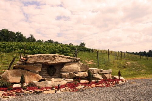 Serendipity Studio: Charming NC Mountainside Cabin @ Roaring River Vineyards