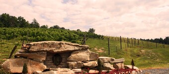 Charme NC Montagne & Riverside Cabin dans un cadre serein Vineyard 