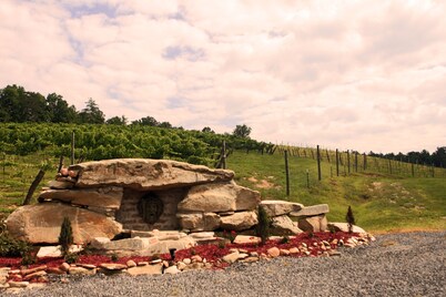 Serendipity Studio: Charming NC Mountainside Cabin @ Roaring River Vineyards