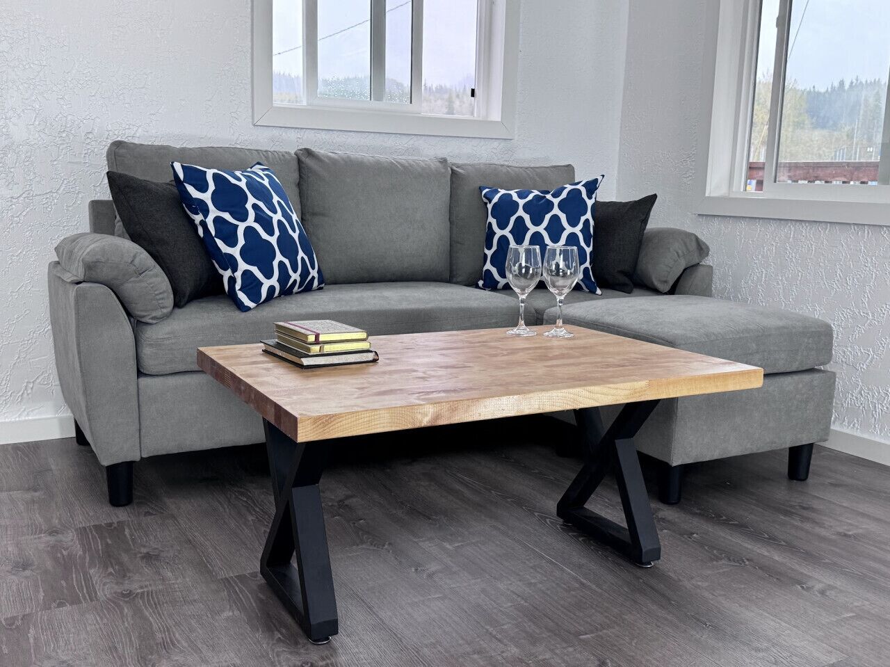 Una televisión, libros, una videoteca