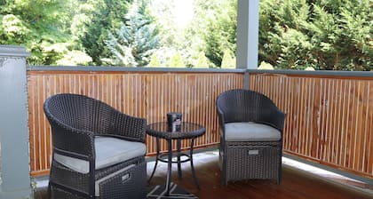 Escape-Private romantique avec bain à remous et cheminée et cour clÎturée. (2 personnes)
