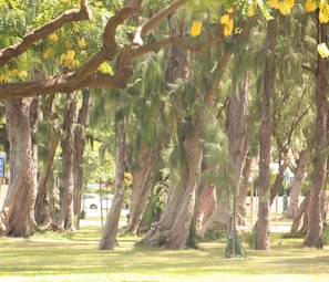 Property grounds
