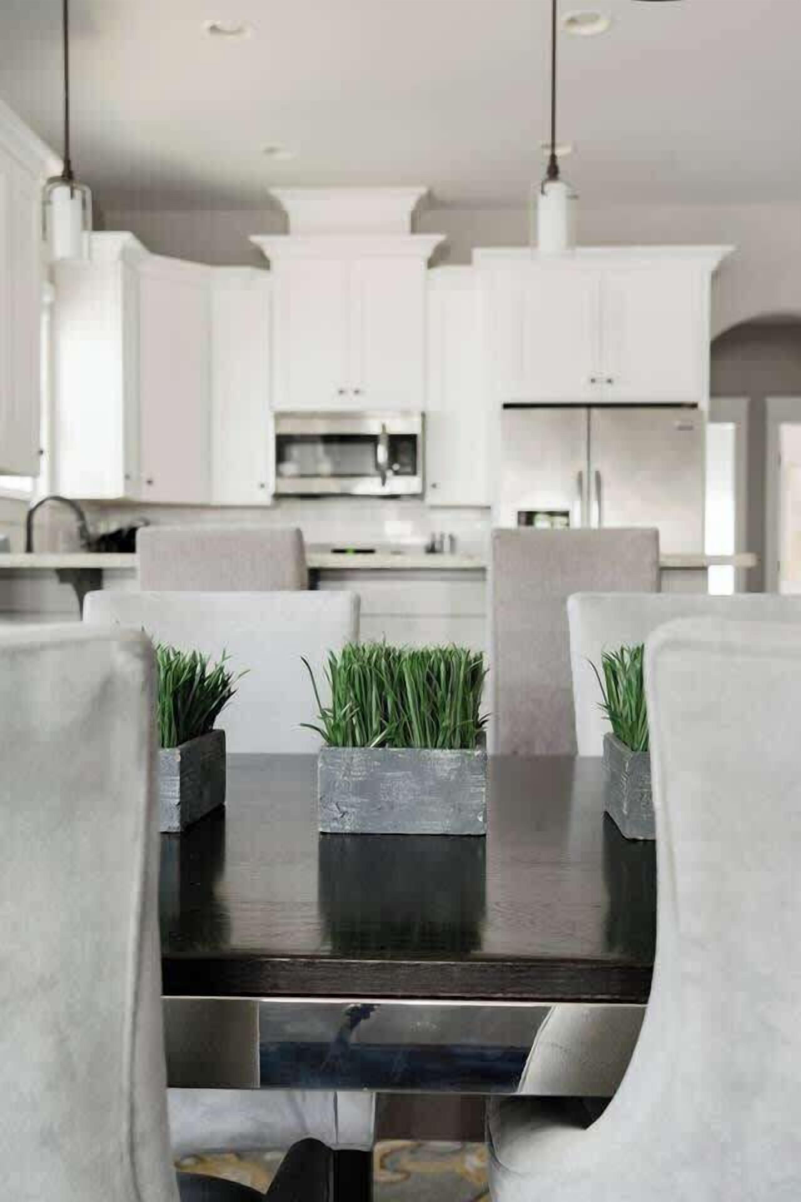 A modern kitchen with white cabinets, a dark countertop, and two potted plants.