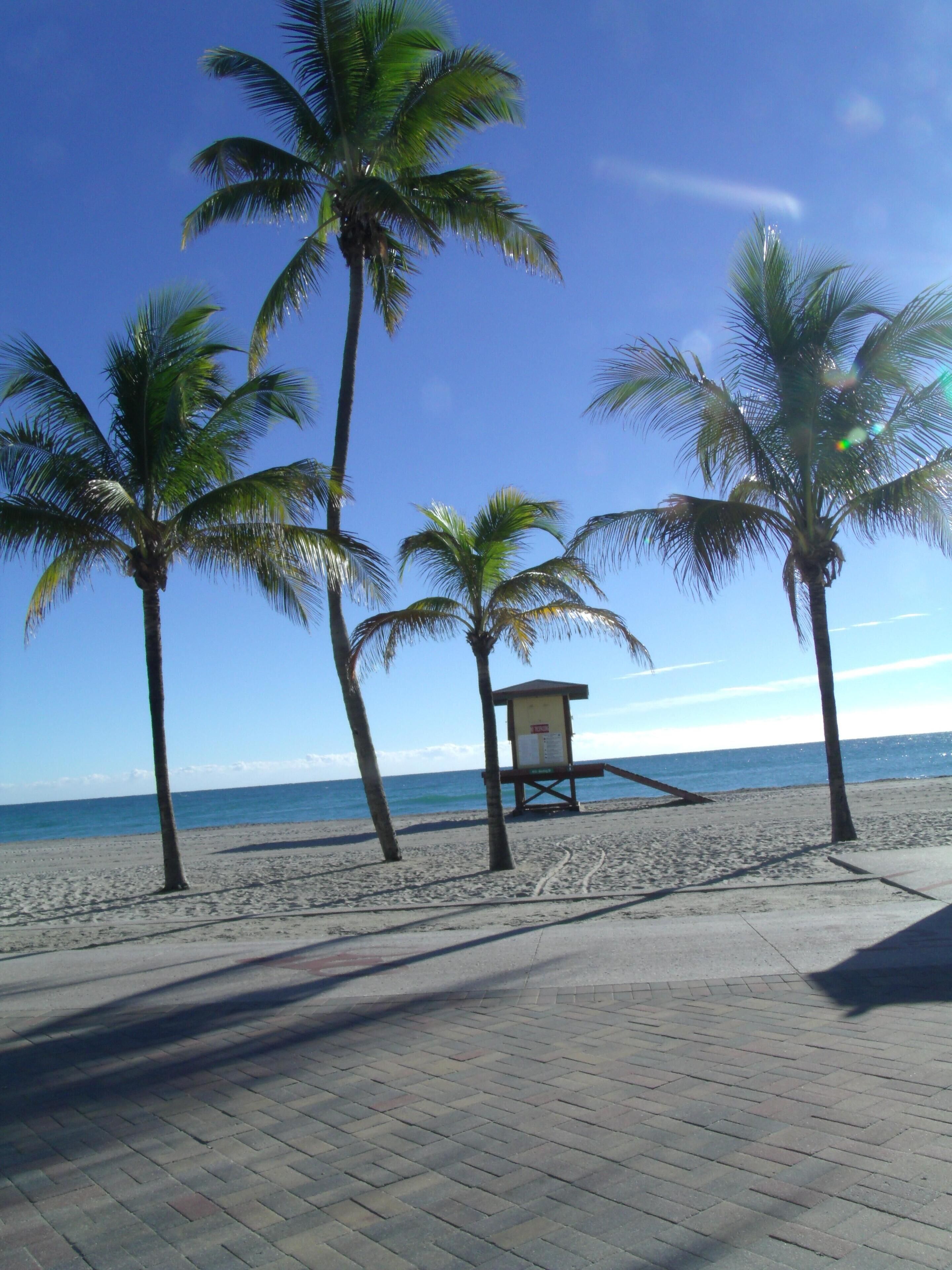 Una playa con palmeras y una torre de salvavidas.