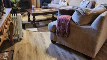 TV, fireplace, DVD player, books