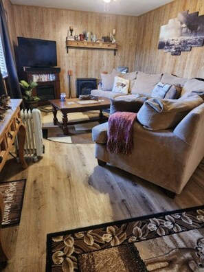 Televisión, chimenea, reproductor de DVD y libros 
