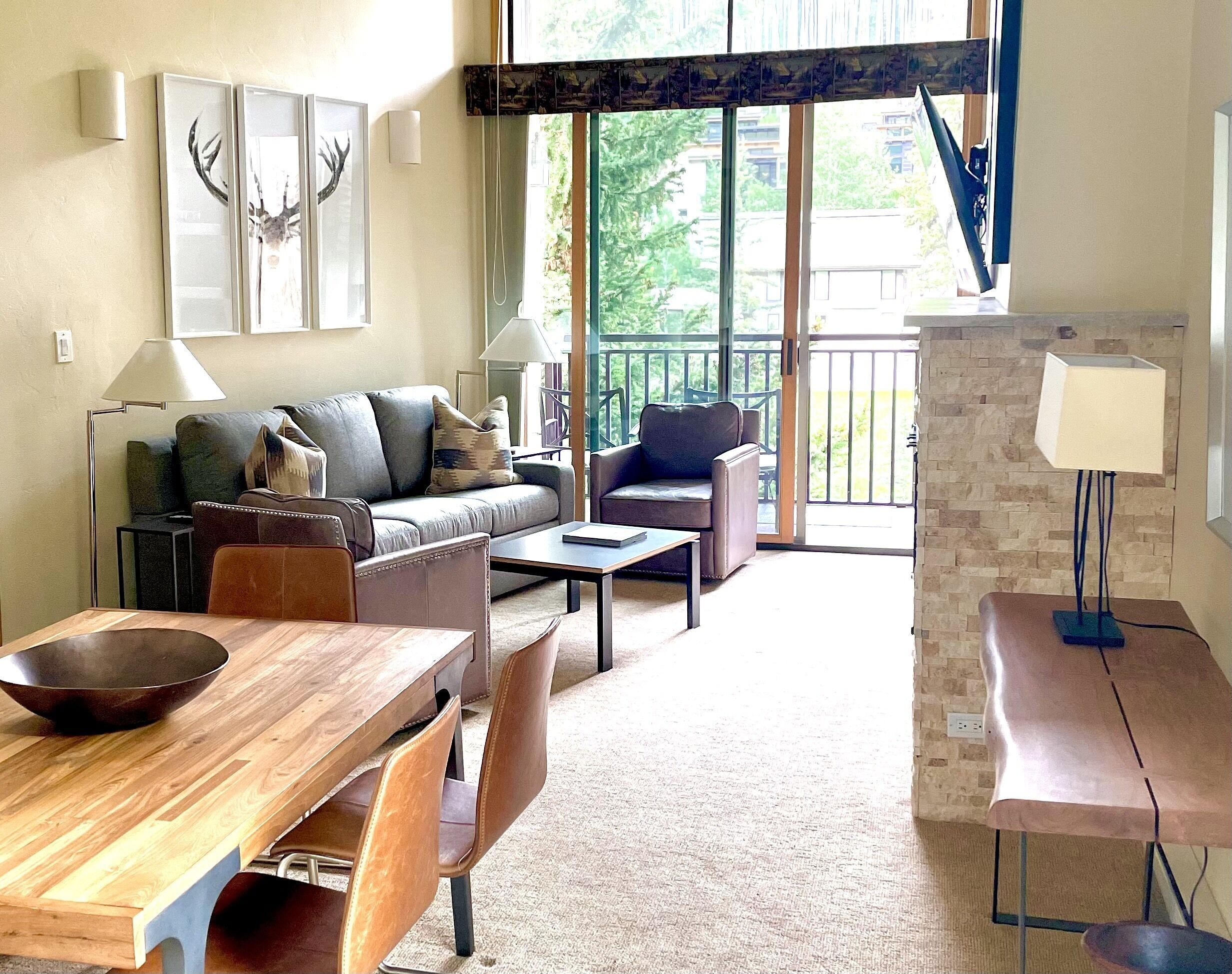 TV, fireplace, DVD player, books