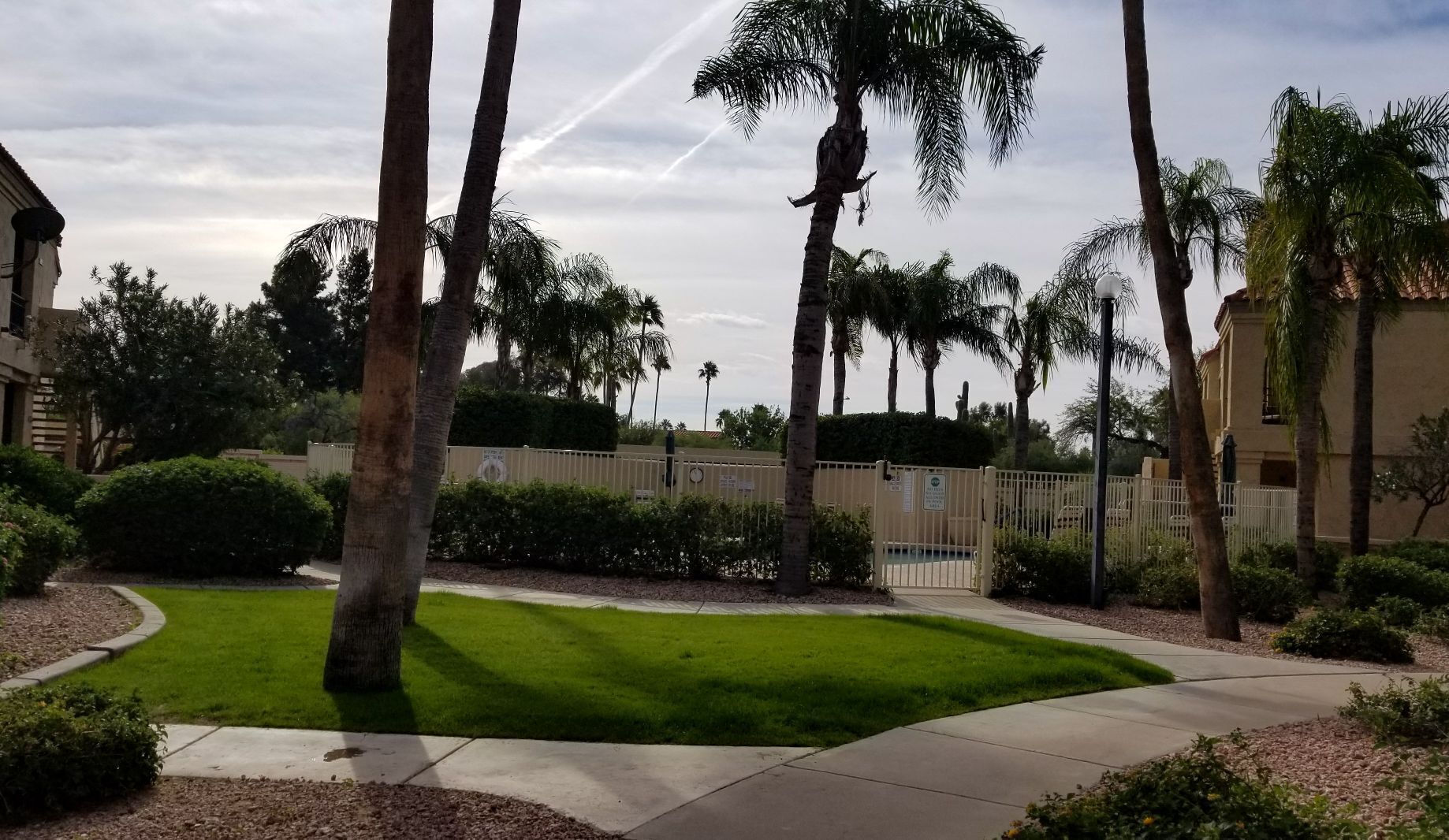 A well-maintained lawn with palm trees, a gated fence, and a building with a beige facade.