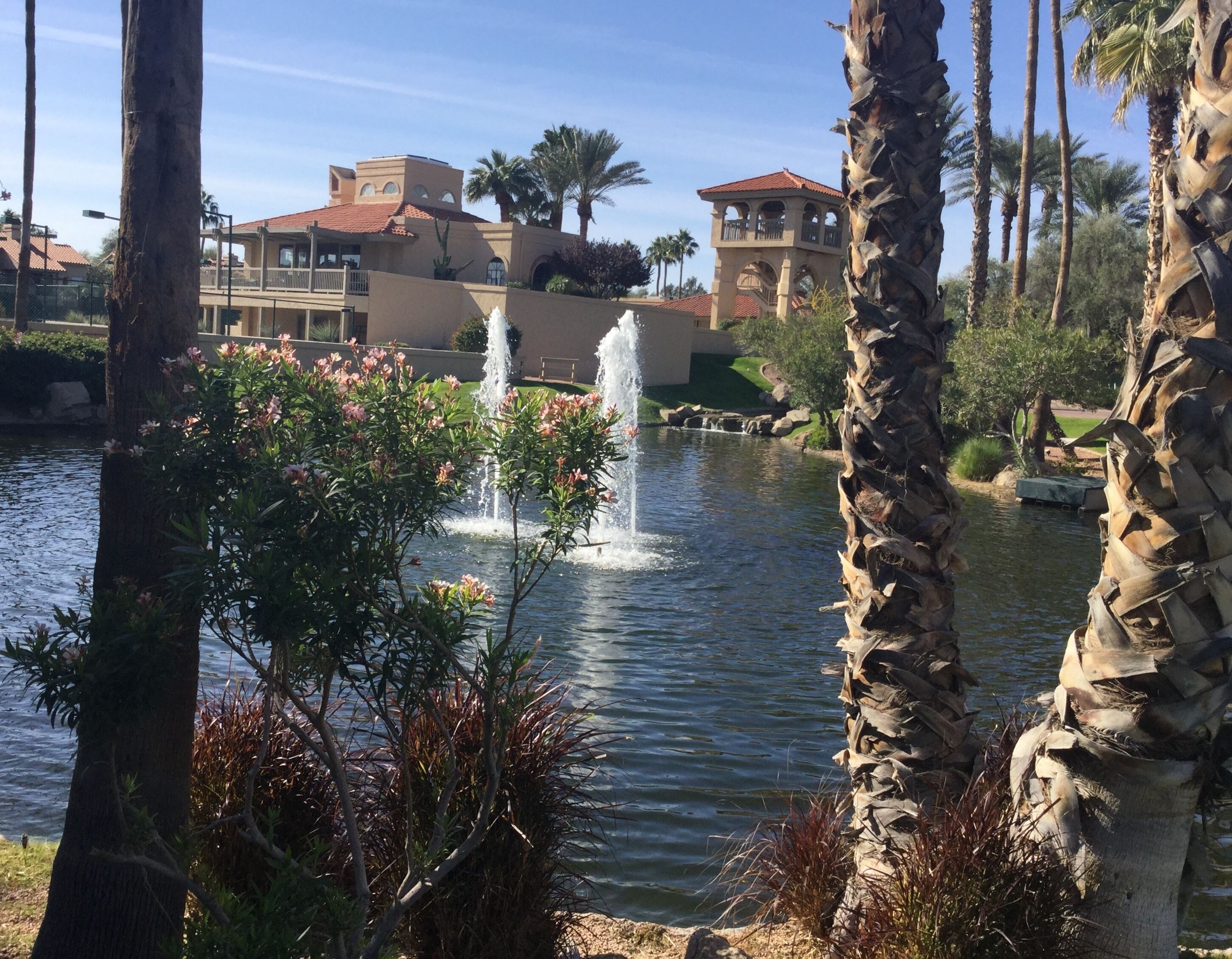 A serene water feature with fountains, surrounded by lush greenery and palm trees, with buildings in the background.