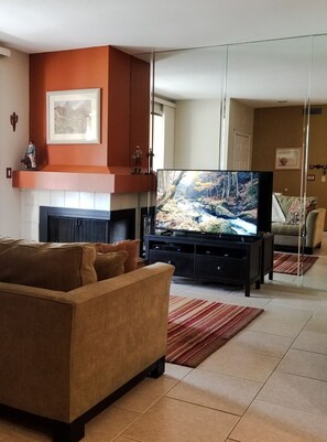 Smart TV, chimenea, reproductor de DVD, libros