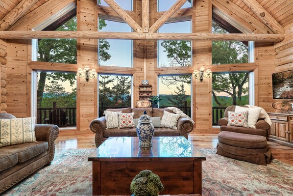 TV, fireplace, video games, DVD player