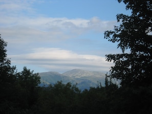 Ein Gebirgszug mit blauem Himmel und Bäumen im Vordergrund.
