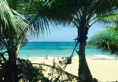 Beachfront Relaxing SPA Condo...Wifi, Private Access to Beach, Pool, Decks, BBQ