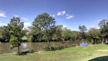 A serene lakeside view with trees and a grassy area.