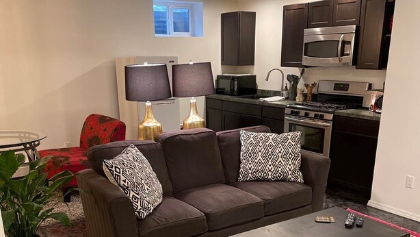 A modern living room with a sofa, coffee table, and a patterned rug. - Downtown!  Great neighborhood!  Walk everywhere downtown!   (Anchorage)