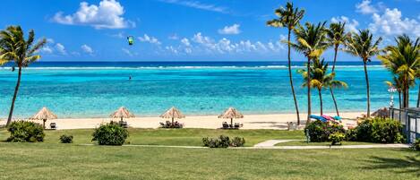 A beach view with clear turquoise water, palm trees, and a grassy area with umbrellas.