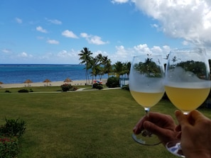 Enjoy a leisurely moment on the beach with a clear ocean view and palm trees.