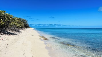 A beach with clear water, sandy shore, and dense vegetation.