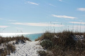 Ein Sandweg am Strand, umgeben von hohem Gras.