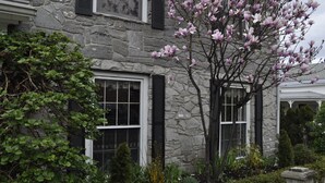 A stone house with black shutters, a flowering tree, and a well-maintained garden.