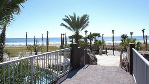 A beachfront property with a pool, palm trees, and a view of the ocean.