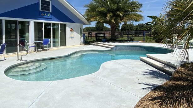 A swimming pool with a curved design, a blue building with large windows, and a palm tree.