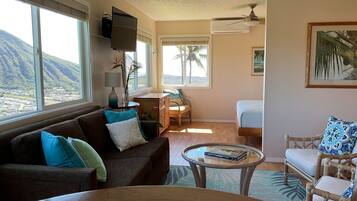 Smart TV, books, video library