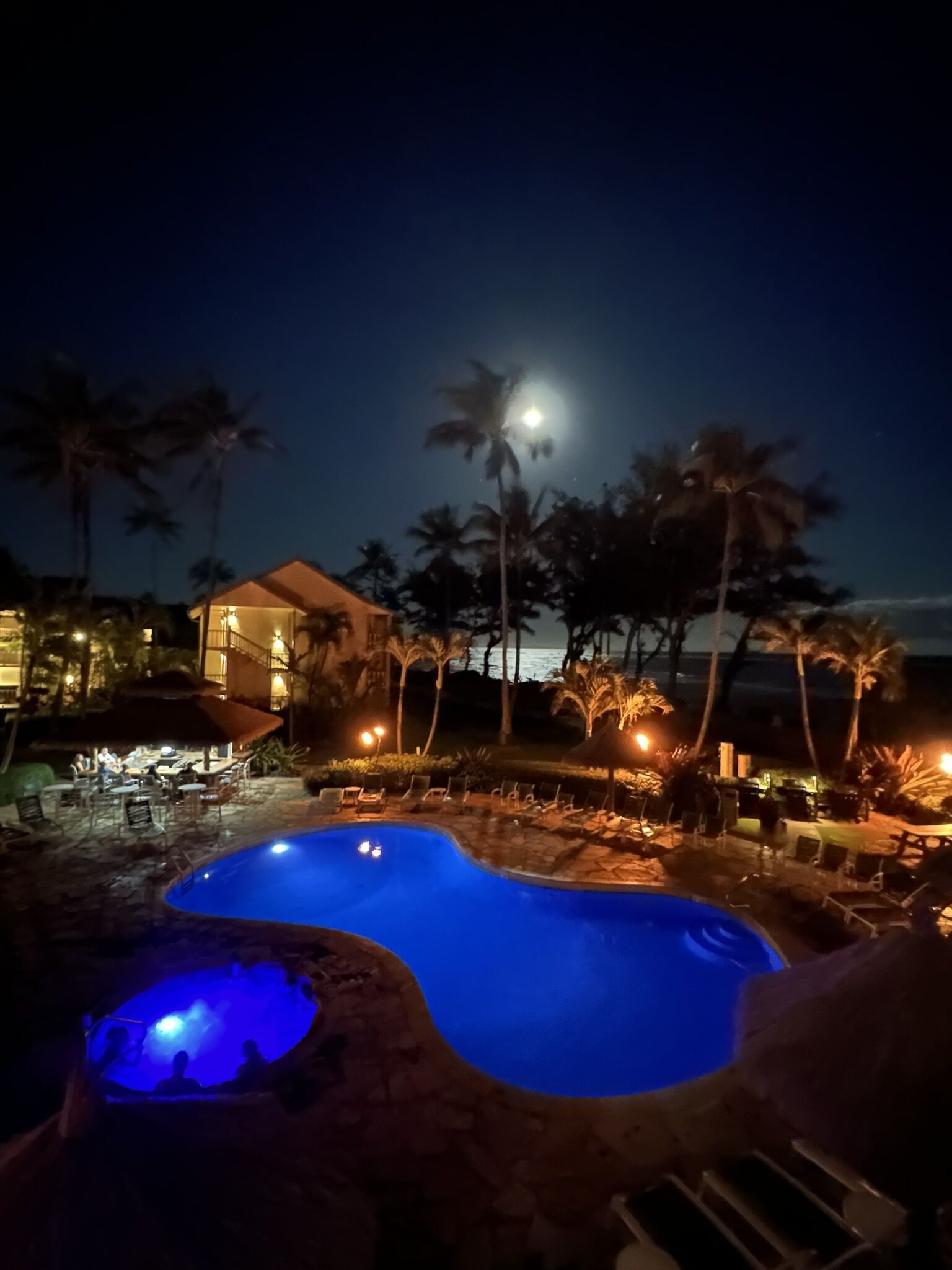 A nighttime resort pool area with a hot tub, lounge chairs, and palm trees.