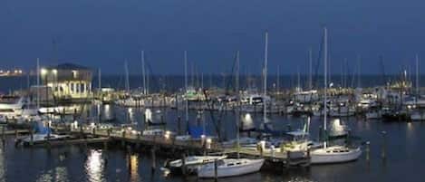 Marina