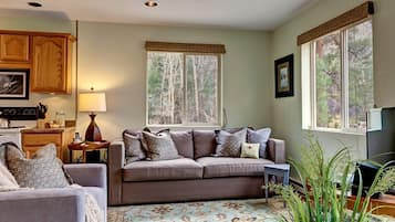 Smart TV, fireplace, books