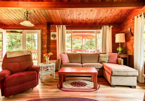 Fernseher, DVD-Player, Bücher