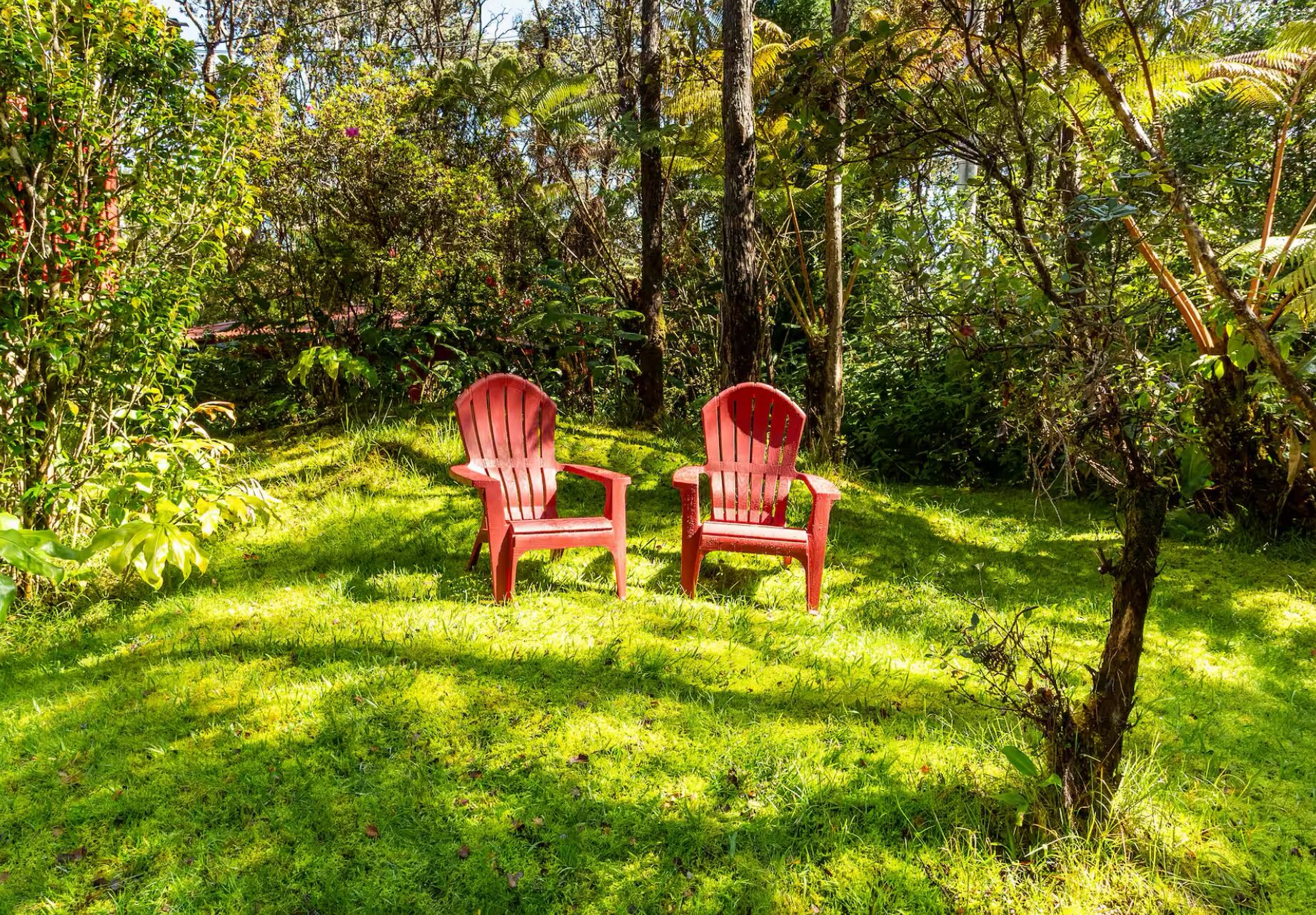 Dos sillas Adirondack rojas en un jardín verde y exuberante, con follaje denso al fondo.