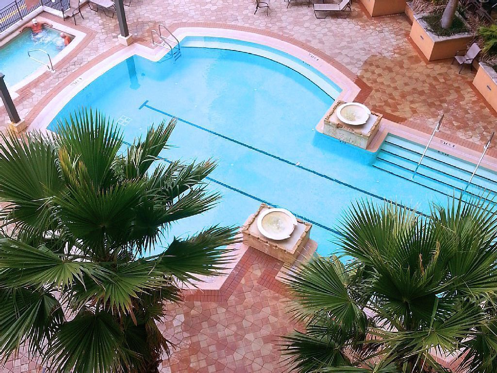 Una piscina dalla forma sinuosa, circondata da palme e da una zona patio piastrellata.
