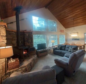 Smart TV, chimenea, reproductor de DVD y libros 