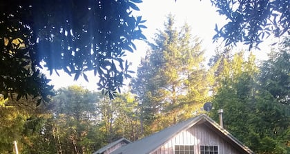 Kid & Dog Friendly - Large Deck w/ BBQ & Hammock - Firepit - Open Floor Plan