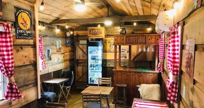 Moonshine Cabin tucked away on the Mountain,Great Location with Wellness Area!