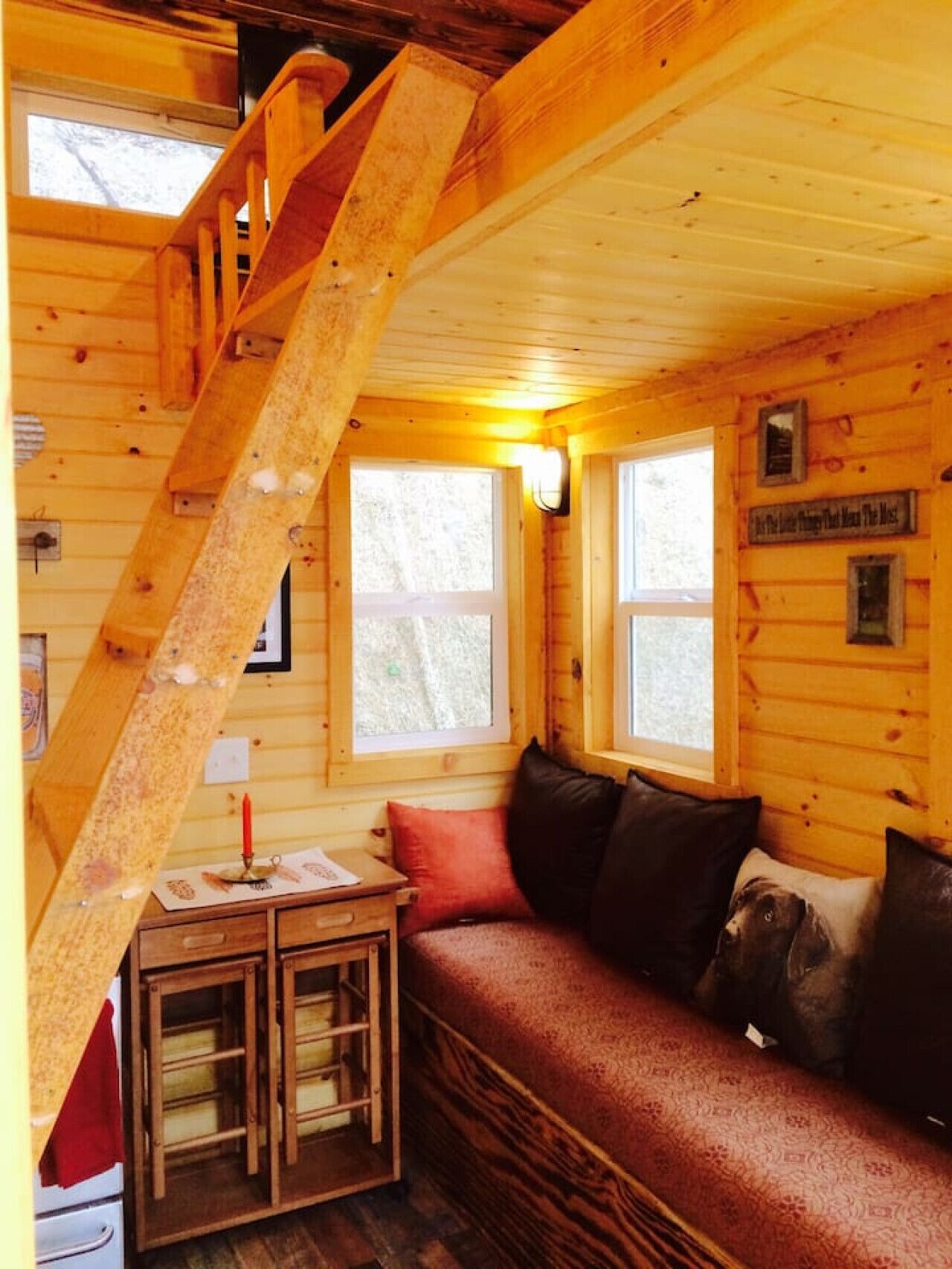 Televisión, chimenea, reproductor de DVD y libros 