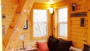 Televisión, chimenea, reproductor de DVD y libros