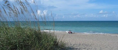 In Strandnähe, Liegestühle, Strandtücher