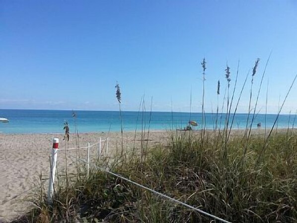 Beach nearby, sun loungers, beach towels